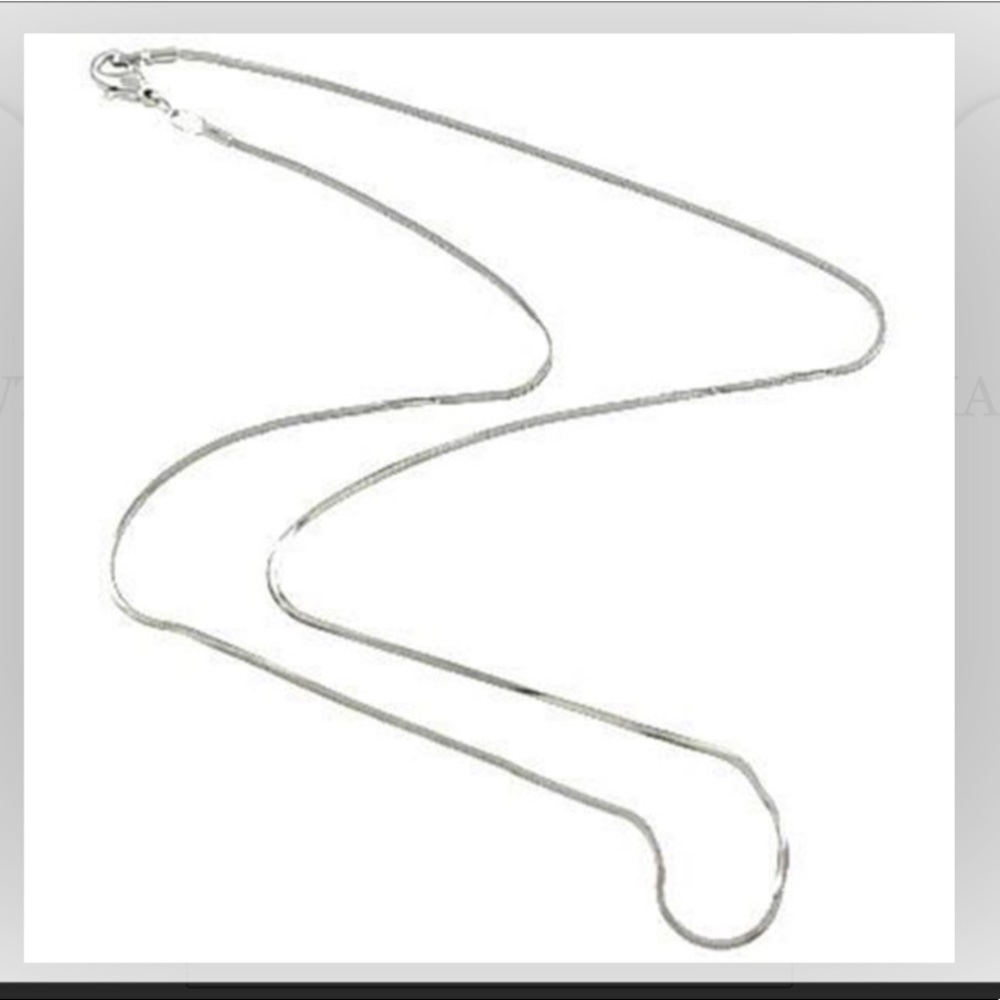 Silver Snake Chain Necklace 19”